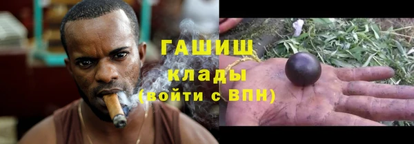 ГАЛЛЮЦИНОГЕННЫЕ ГРИБЫ Рославль