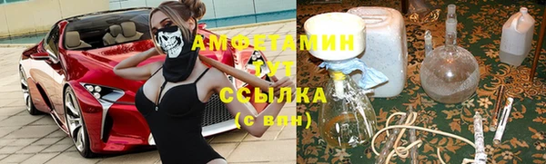 спиды Алзамай