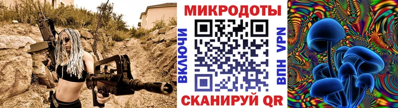 купить закладку  Буй  Галлюциногенные грибы MAGIC MUSHROOMS 